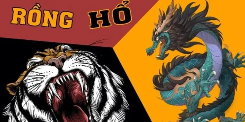 Cách soi cầu Rồng Hổ hiệu quả từ cao thủ