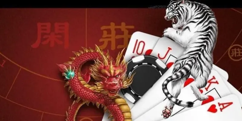 Khám phá về khả năng xảy ra và tỷ lệ đặt cược